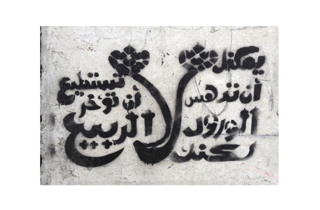 © Bahia Shehab, You May Crush the Flowers, But You Cannot Delay the Spring (verse by poet Pablo Neruda), 2011. Cairo. Calligraffiti.