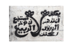 © Bahia Shehab, You May Crush the Flowers, But You Cannot Delay the Spring (verse by poet Pablo Neruda), 2011. Cairo. Calligraffiti.